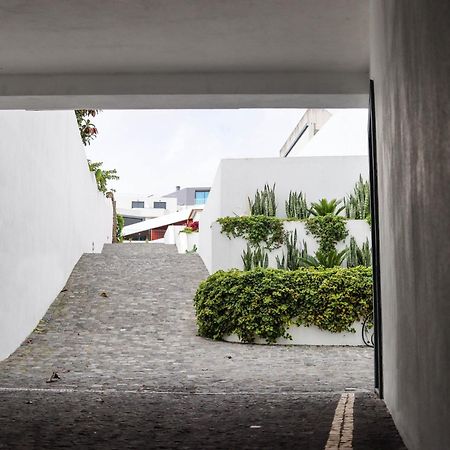 Sao Miguel Charming House By Lfc Apts ปอนตาเดลกาดา ภายนอก รูปภาพ
